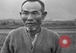 Image of water buffalo Hawaii USA, 1916, second 18 stock footage video 65675071577