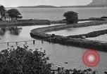 Image of Native fishermen Hawaii USA, 1916, second 62 stock footage video 65675071578