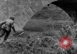 Image 14th Armored Division Gemunden Allemagne, 1945, de la seconde 14 séquences d'archives historiques vidéo 65675071592