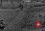Image 14th Armored Division Gemunden Allemagne, 1945, de la seconde 40 séquences d'archives historiques vidéo 65675071592