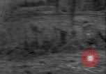 Image 14th Armored Division Gemunden Allemagne, 1945, de la seconde 43 séquences d'archives historiques vidéo 65675071592
