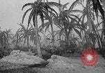 Image of defective walkie-talkie United States USA, 1943, second 11 stock footage video 65675071597