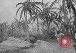 Image of defective walkie-talkie United States USA, 1943, second 30 stock footage video 65675071597