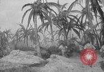 Image of defective walkie-talkie United States USA, 1943, second 31 stock footage video 65675071597