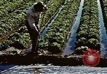 Image of Hoover Dam United States USA, 1962, second 3 stock footage video 65675071610