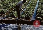 Image of Hoover Dam United States USA, 1962, second 5 stock footage video 65675071610
