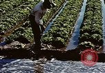Image of Hoover Dam United States USA, 1962, second 6 stock footage video 65675071610