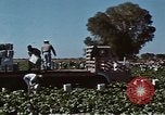 Image of Hoover Dam United States USA, 1962, second 11 stock footage video 65675071610