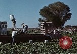 Image of Hoover Dam United States USA, 1962, second 12 stock footage video 65675071610