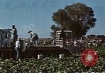Image of Hoover Dam United States USA, 1962, second 13 stock footage video 65675071610