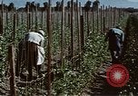 Image of Hoover Dam United States USA, 1962, second 15 stock footage video 65675071610