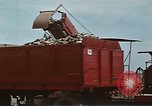Image of Hoover Dam United States USA, 1962, second 35 stock footage video 65675071610