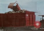 Image of Hoover Dam United States USA, 1962, second 36 stock footage video 65675071610
