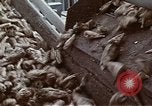 Image of Hoover Dam United States USA, 1962, second 43 stock footage video 65675071610
