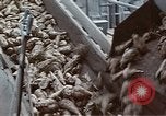 Image of Hoover Dam United States USA, 1962, second 44 stock footage video 65675071610