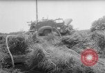 Image of drought Japan, 1958, second 9 stock footage video 65675071621