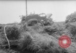 Image of drought Japan, 1958, second 10 stock footage video 65675071621