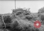 Image of drought Japan, 1958, second 11 stock footage video 65675071621