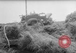 Image of drought Japan, 1958, second 12 stock footage video 65675071621