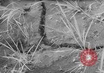 Image of drought Japan, 1958, second 16 stock footage video 65675071621