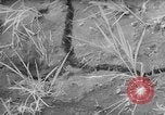 Image of drought Japan, 1958, second 17 stock footage video 65675071621