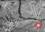 Image of drought Japan, 1958, second 18 stock footage video 65675071621