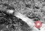 Image of drought Japan, 1958, second 19 stock footage video 65675071621
