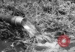 Image of drought Japan, 1958, second 21 stock footage video 65675071621