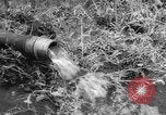 Image of drought Japan, 1958, second 22 stock footage video 65675071621