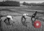 Image of drought Japan, 1958, second 25 stock footage video 65675071621