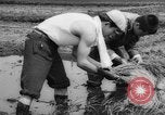 Image of drought Japan, 1958, second 27 stock footage video 65675071621