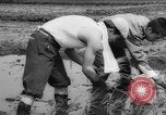 Image of drought Japan, 1958, second 28 stock footage video 65675071621