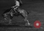 Immagine di Santa Rosa Rodeo Vernon Texas USA, 1958, secondo 23 filmato di repertorio 65675071626