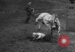 Immagine di Santa Rosa Rodeo Vernon Texas USA, 1958, secondo 34 filmato di repertorio 65675071626