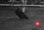 Immagine di Santa Rosa Rodeo Vernon Texas USA, 1958, secondo 39 filmato di repertorio 65675071626