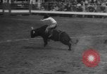 Immagine di Santa Rosa Rodeo Vernon Texas USA, 1958, secondo 46 filmato di repertorio 65675071626
