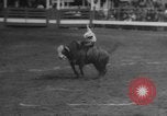 Immagine di Santa Rosa Rodeo Vernon Texas USA, 1958, secondo 54 filmato di repertorio 65675071626