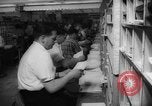 Immagine di Il Post Office Department United States USA, 1958, secondo 40 filmato di repertorio 65675071627