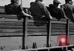 Image of liberated orphan children from Buchenwald Concentration Camp Buchenwald Germany, 1945, second 7 stock footage video 65675071632