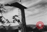 Immagine di Atom bombardamenti di Hiroshima Hiroshima Giappone, 1946, secondo 9 filmato di repertorio 65675071635