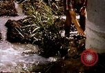 Standbild Landwirtschaft United States USA, 1956, aus Sekunde 46 historischem Filmmaterial Videoclip 65675071647