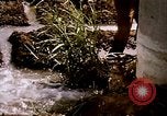 Standbild Landwirtschaft United States USA, 1956, aus Sekunde 47 historischem Filmmaterial Videoclip 65675071647