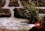 Standbild Landwirtschaft United States USA, 1956, aus Sekunde 51 historischem Filmmaterial Videoclip 65675071647