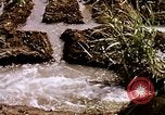 Standbild Landwirtschaft United States USA, 1956, aus Sekunde 52 historischem Filmmaterial Videoclip 65675071647