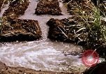 Standbild Landwirtschaft United States USA, 1956, aus Sekunde 53 historischem Filmmaterial Videoclip 65675071647