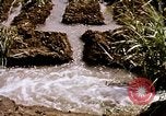 Standbild Landwirtschaft United States USA, 1956, aus Sekunde 54 historischem Filmmaterial Videoclip 65675071647