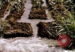 Standbild Landwirtschaft United States USA, 1956, aus Sekunde 55 historischem Filmmaterial Videoclip 65675071647