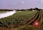 Standbild Landwirtschaft United States USA, 1956, aus Sekunde 44 historischem Filmmaterial Videoclip 65675071648