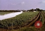 Standbild Landwirtschaft United States USA, 1956, aus Sekunde 45 historischem Filmmaterial Videoclip 65675071648