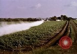 Standbild Landwirtschaft United States USA, 1956, aus Sekunde 46 historischem Filmmaterial Videoclip 65675071648